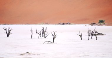 Sossusvlei, Namibya, Afrika