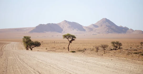 Štěrková Cesta Namibii — Stock fotografie