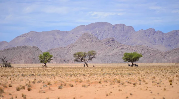 Hory Namibii Afrika — Stock fotografie