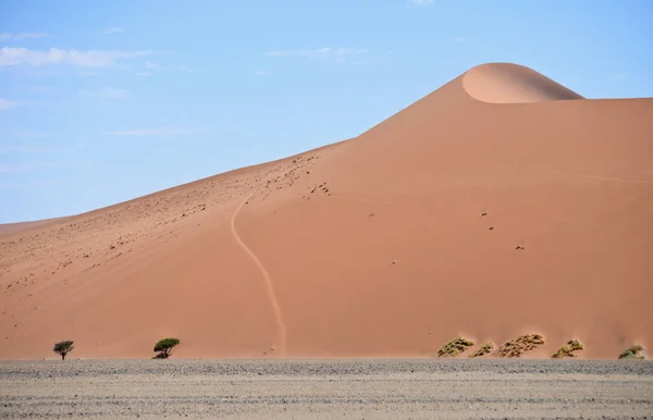 Paisagem Deserto Namíbia África — Fotografia de Stock