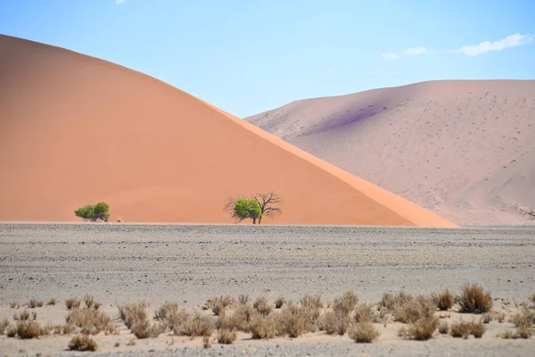 Paysage Désertique Namibie Afrique — Photo