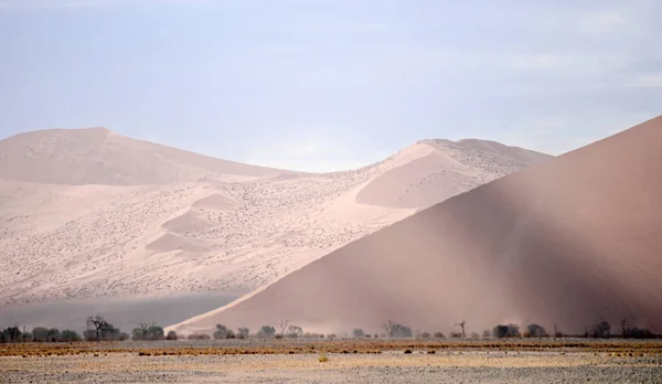 Paisaje Del Desierto Namibia África —  Fotos de Stock