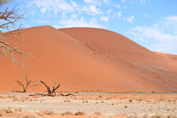 青い空の砂丘 — ストック写真