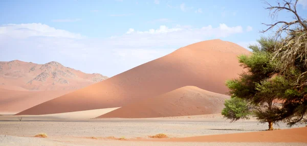 Dunes Sable Avec Ciel Bleu — Photo