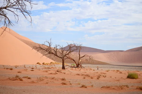 Ökenlandskap Namibia Afrika — Stockfoto