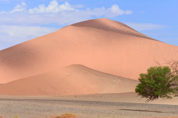 Dune Sabbia Con Cielo Blu — Foto Stock