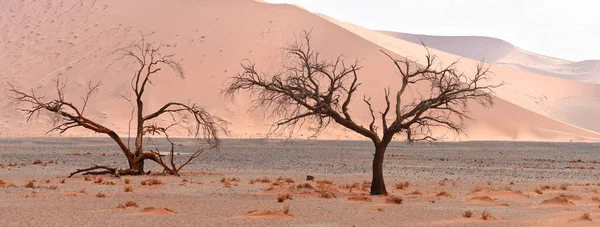 ナミビア アフリカの砂漠の風景 — ストック写真