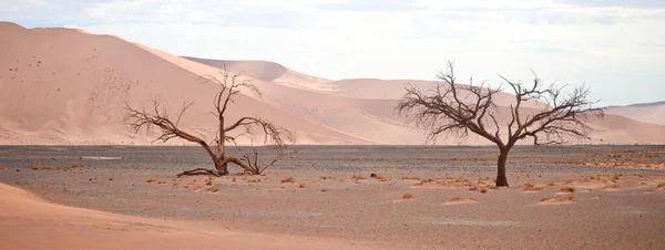 Paisaje Del Desierto Namibia África —  Fotos de Stock