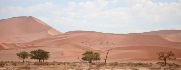 Paysage Désertique Namibie Afrique — Photo