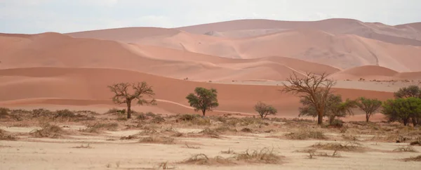 ナミビア アフリカの砂漠の風景 — ストック写真