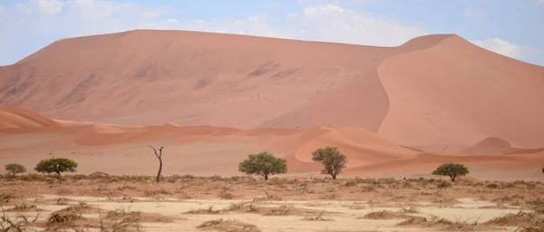 Paisagem Deserto Namíbia África — Fotografia de Stock