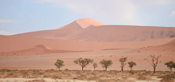 Desert Τοπίο Στη Ναμίμπια Αφρική — Φωτογραφία Αρχείου