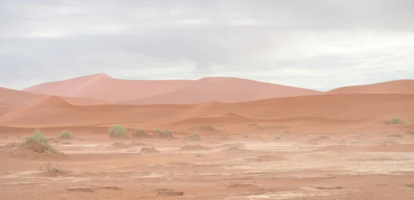 Paisaje Del Desierto Namibia África — Foto de Stock