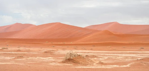 Pouštní Krajina Namibii Afrika — Stock fotografie