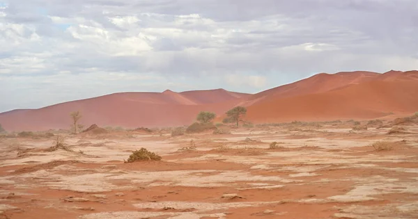 Paisaje Del Desierto Namibia África —  Fotos de Stock