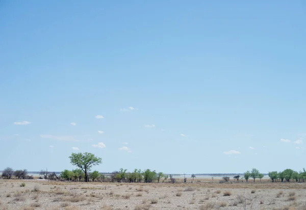 Этоша Парк Намибии — стоковое фото