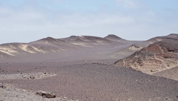 Desert Landscape Africa — Stock Photo, Image