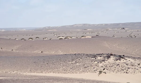 Woestijnlandschap Afrika — Stockfoto