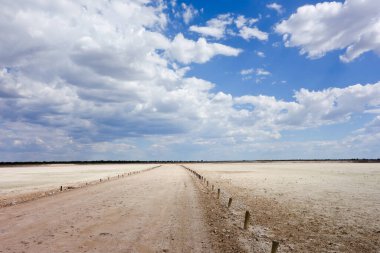 Afrika 'daki Etosha manzarası