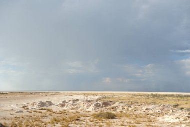 Afrika 'da çöl manzarası