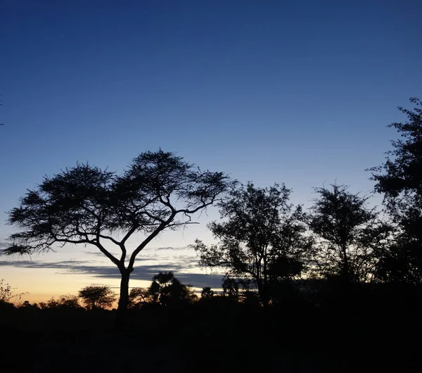 Belo Pôr Sol África — Fotografia de Stock