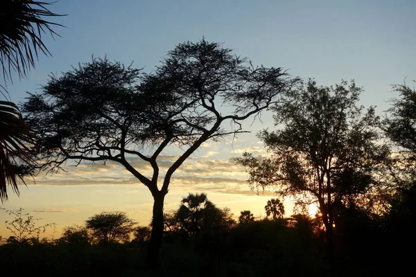 Prachtige Zonsondergang Afrika — Stockfoto