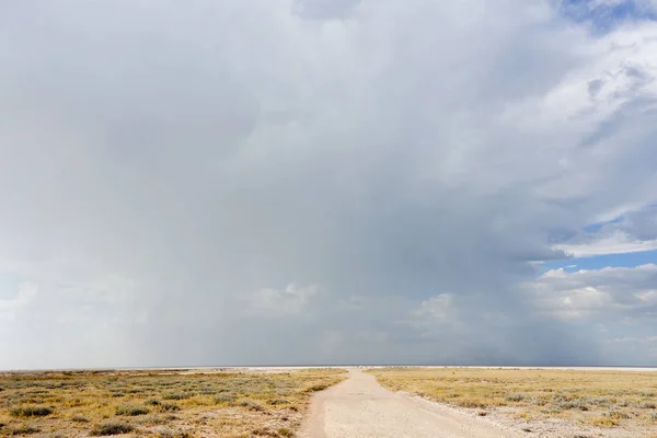 Paesaggio Etosha Africa — Foto Stock