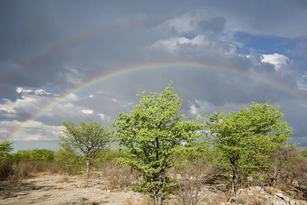 Regnbåge Över Etosha Park — Stockfoto