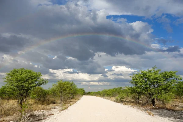 Rainbow Road Etosha Namibia — Stock Photo, Image