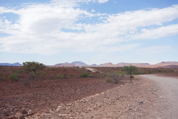 Prázdná Pouštní Cesta Namibii Afrika — Stock fotografie