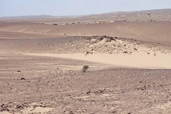 Bild Der Namibischen Landschaft — Stockfoto