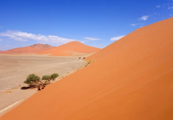 Dunas Arena Cielo Azul —  Fotos de Stock