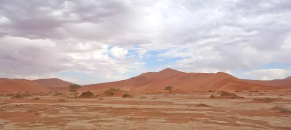 アフリカの砂漠の風景 — ストック写真