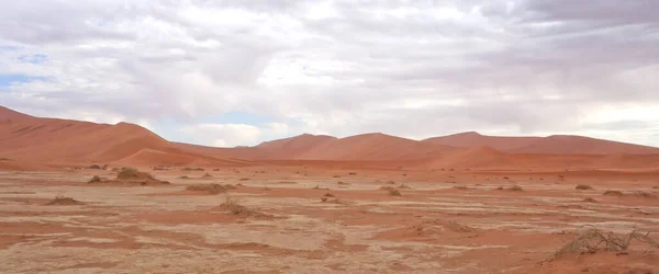 Paysage Désertique Afrique — Photo