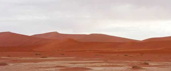 Пустельний Пейзаж Африці — стокове фото