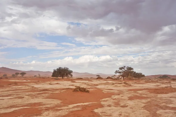 Woestijnlandschap Afrika — Stockfoto