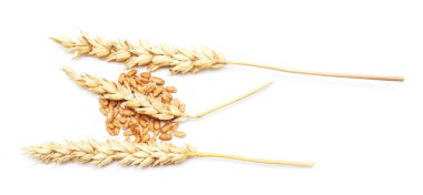 Beyaz arkaplanda buğday izole