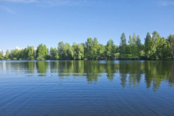 Красиве Літнє Озеро Блакитним Небом — стокове фото
