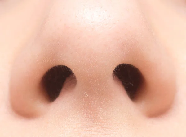 Close Shot Nose — Stock Photo, Image