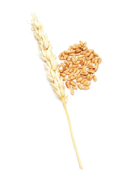 Wheat Isolated White Background — Stock Photo, Image