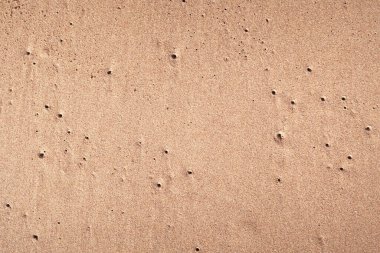 arka plan olarak ıslak kum