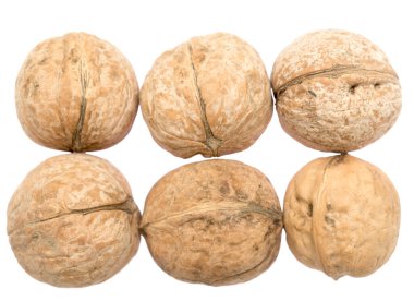 Beyaz arkaplanda izole edilmiş cevizler