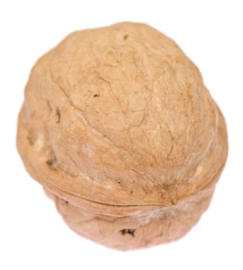 beyaz arkaplanda izole edilmiş ceviz