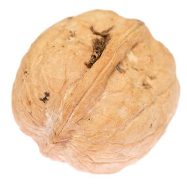 beyaz arkaplanda izole edilmiş ceviz