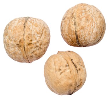 Beyaz arkaplanda izole edilmiş cevizler