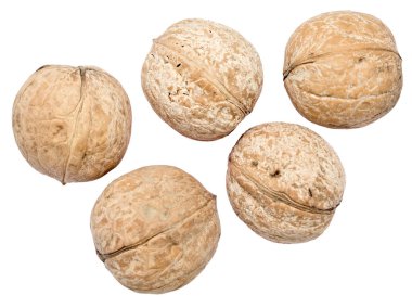 Beyaz arkaplanda izole edilmiş cevizler