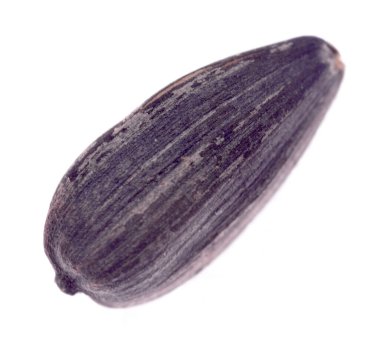 Beyaz arkaplanda izole ayçiçeği tohumu