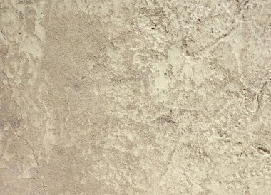 Arkaplan olarak beton duvar