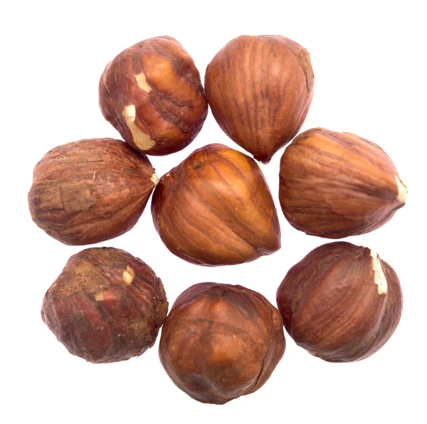 Hazelnuts Изолированы Белом Фоне — стоковое фото