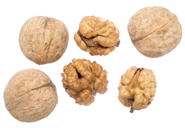 Walnuts Isolated White Background — Stock Photo, Image